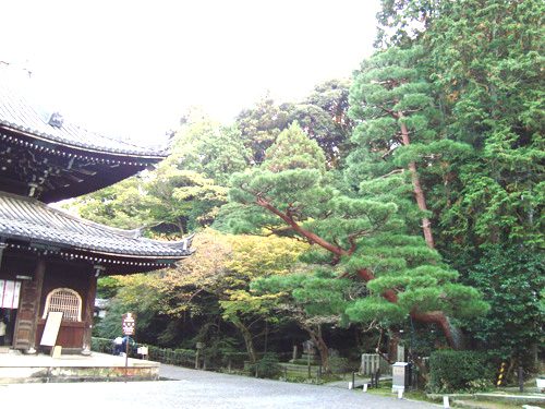 適宜